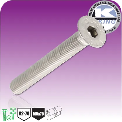 Śruba do wkładki M5x75 stal nierdzewna A2-70